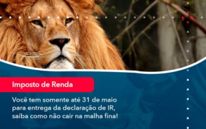 Voce Tem Somente Ate 31 De Maio Para Entrega Da Declaracao De Ir Saiba Como Nao Cair Na Malha Fina (1) - Orientadora Organização Contábil