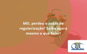 Mei Perdeu O Prazo De Regularização Saiba Agora Mesmo O Que Fazer Orientadora Organizacao 2 - Orientadora Organização Contábil